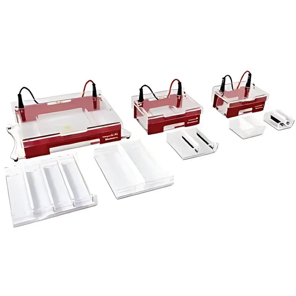 Analytik Jena Compact XS/S/M/L/XL Horizontal Electrophoresis System