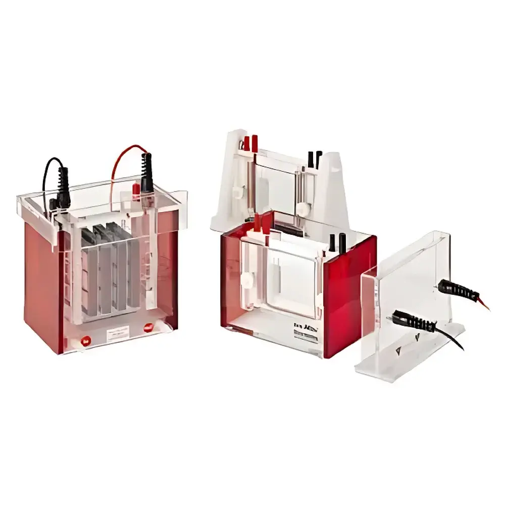 Analytik Jena Eco-Mini and Eco-Maxi Vertical Electrophoresis Systems