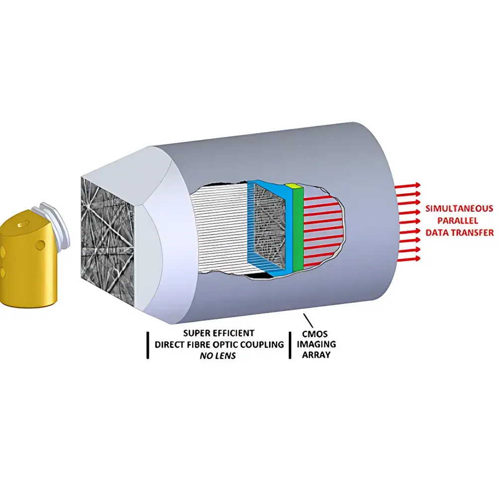Oxford Instruments NA-TKD Electron Backscatter Diffraction System