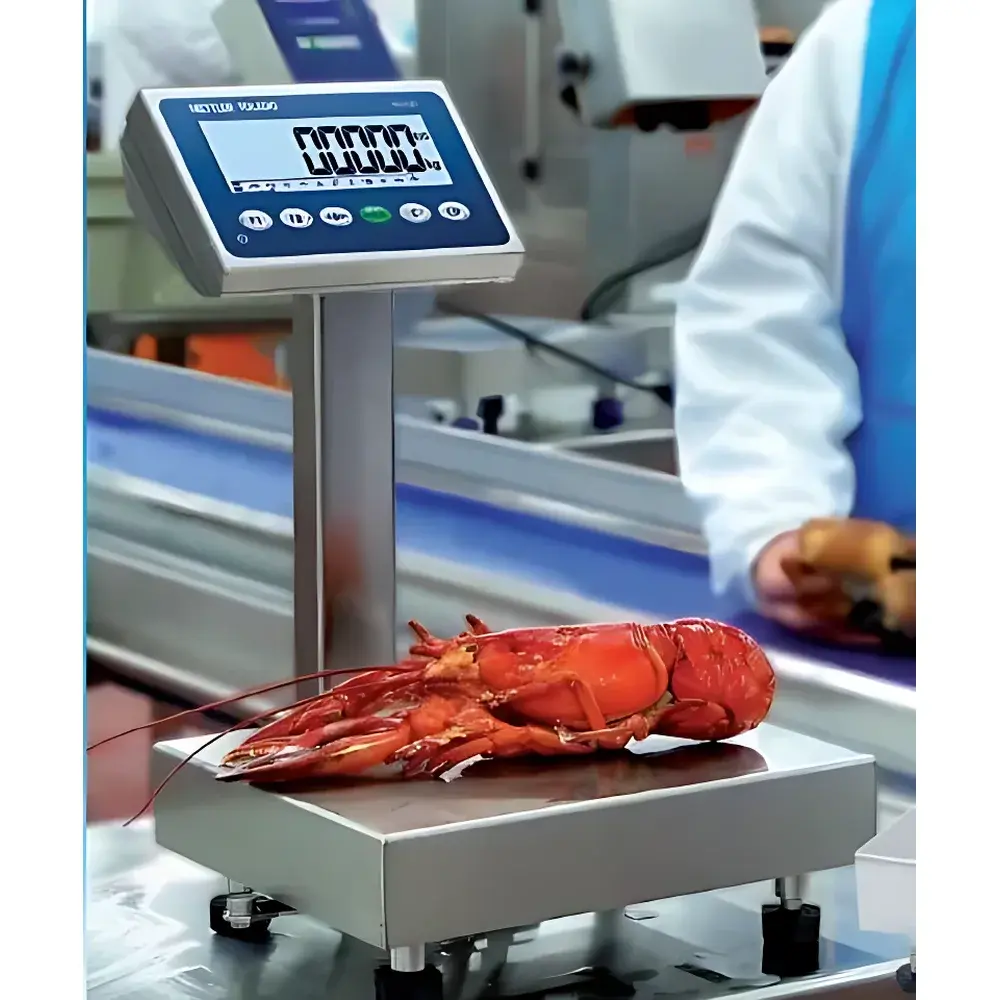 METTLER TOLEDO IND231/IND236 Weighing Indicator