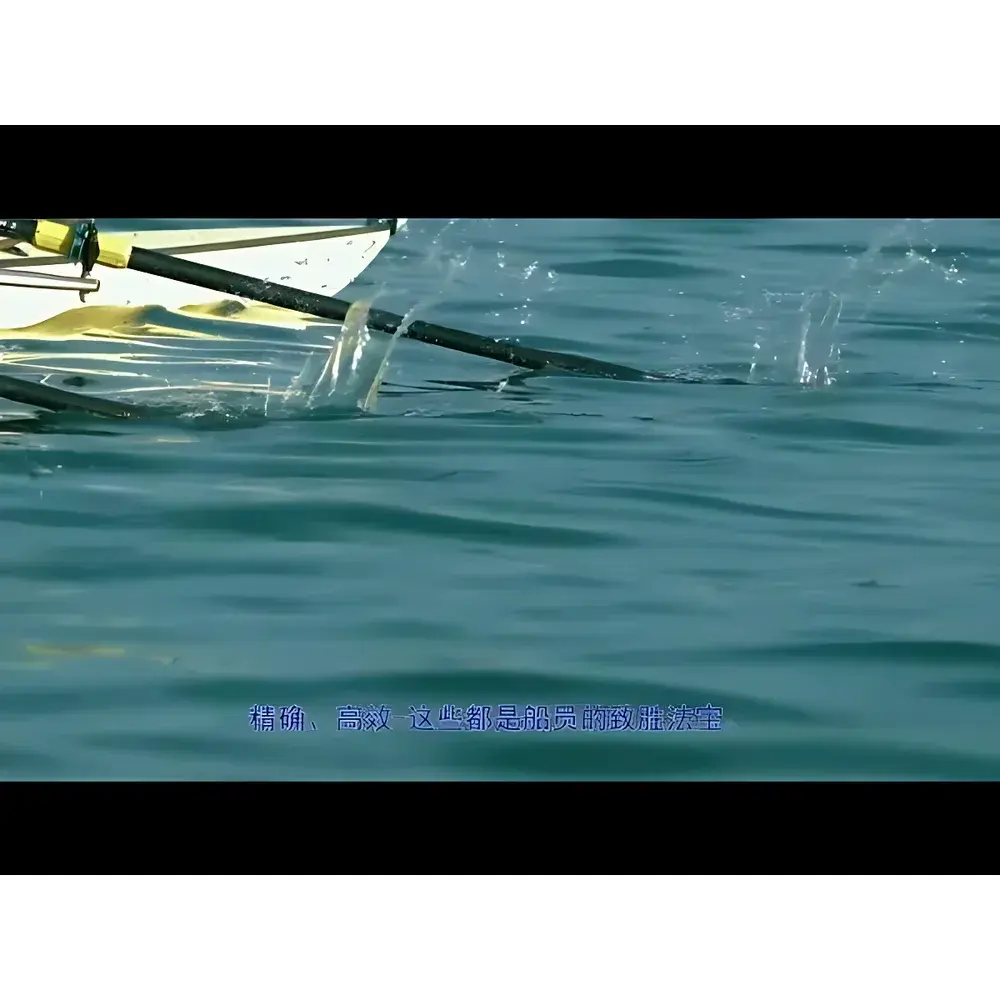 METTLER TOLEDO C20S/C30S Coulometric Karl Fischer Moisture Analyzer