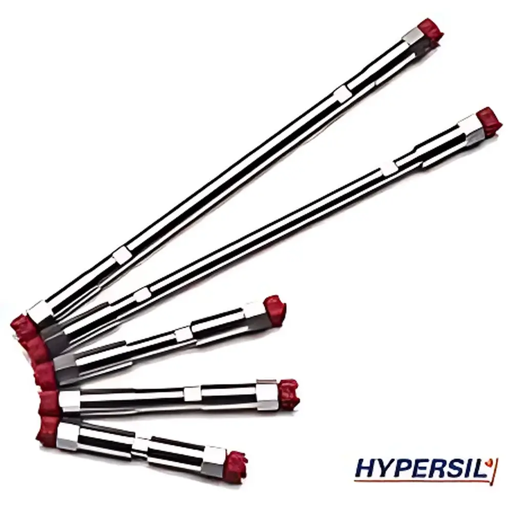 Hypersil GOLD C18 Reversed-Phase HPLC Column (5 µm, 4.6 × 250 mm)