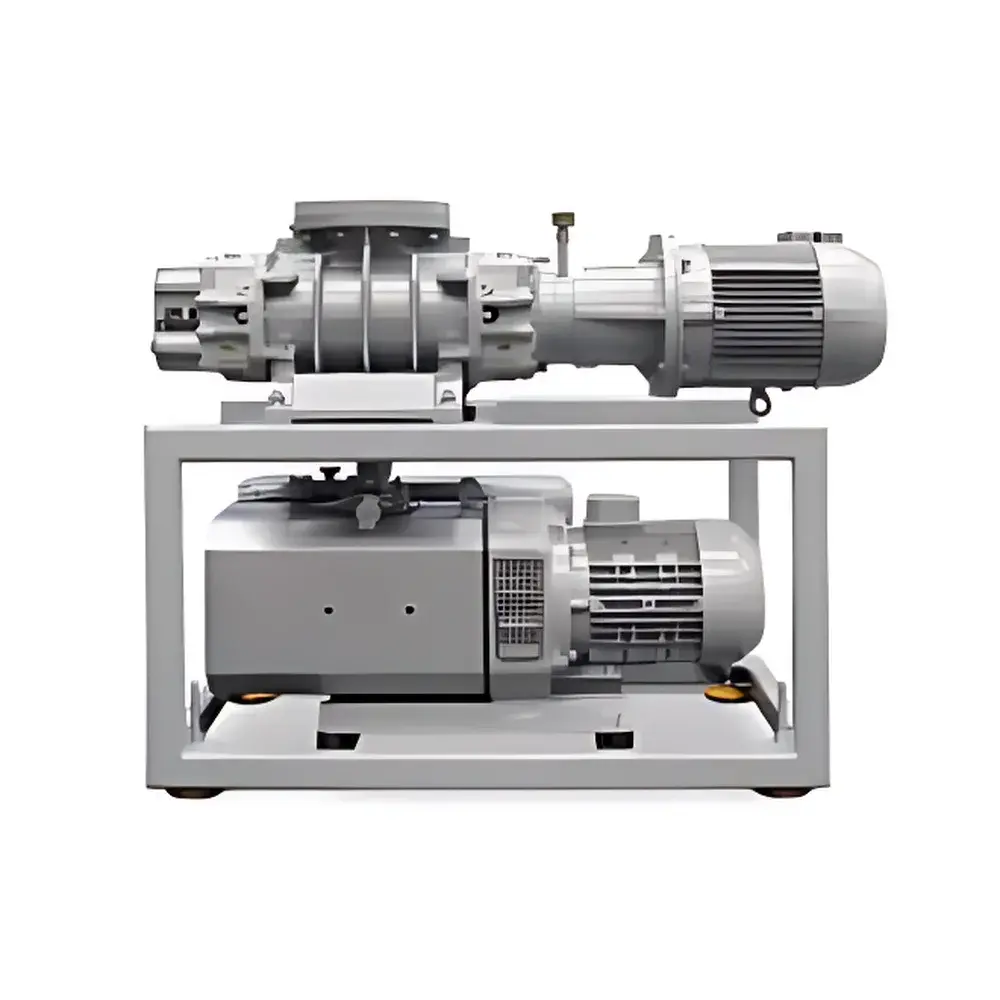 Agilent RPS-1401/301 Roots Pump System