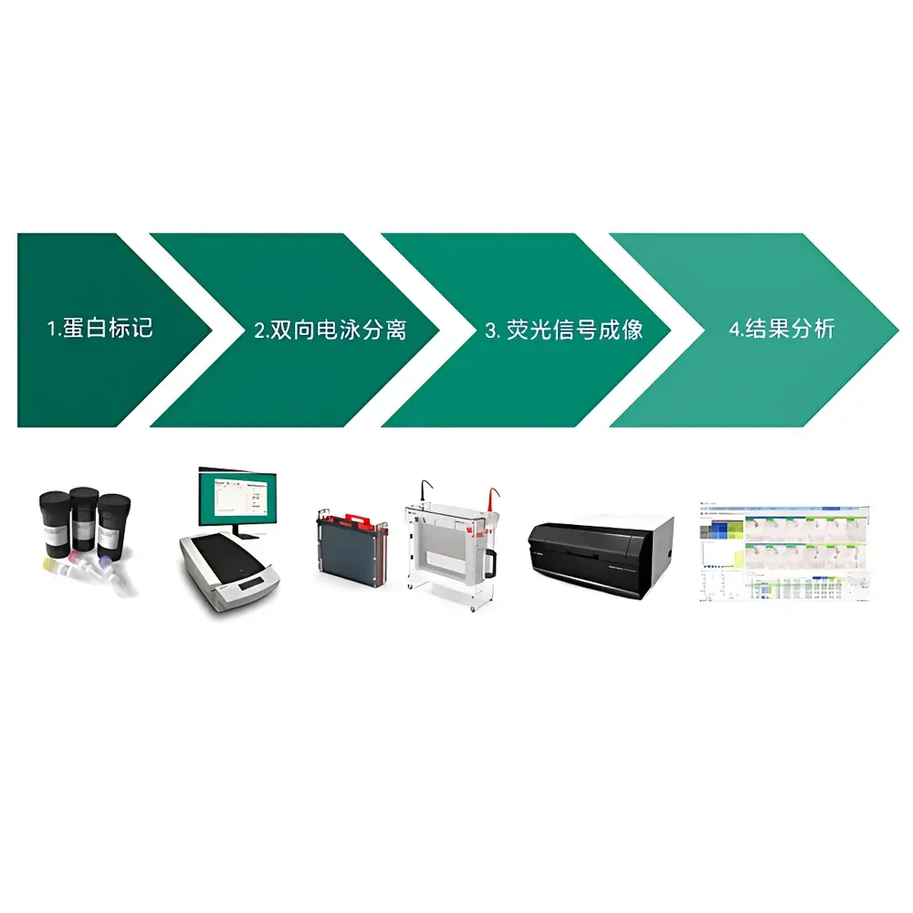Cytiva Ettan 2D DIGE Fluorescent Differential In-Gel Electrophoresis System