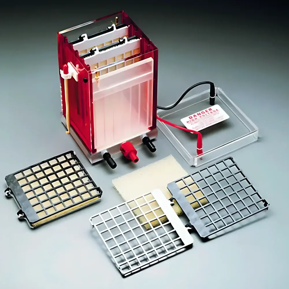 Cytiva TE22 Mini Wet Transfer Unit