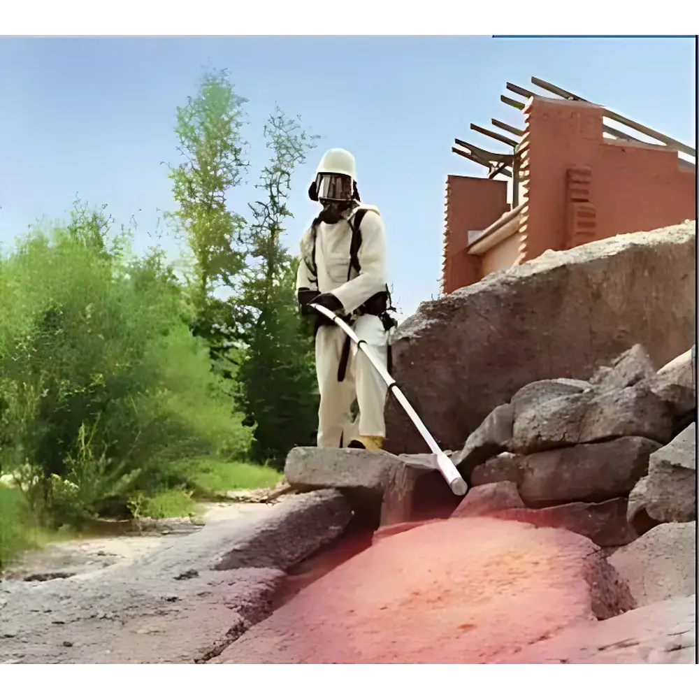 Thermo Fisher FH40TG Extendable Radiation Survey Meter