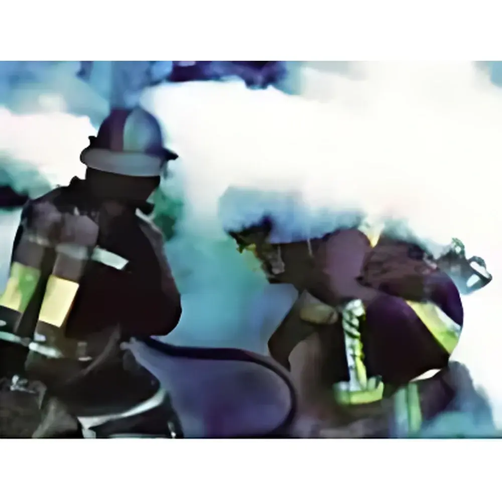 Thermo Fisher FH 40 G NBR Environmental Portable X/γ Dose Rate Meter