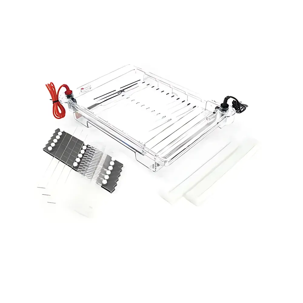 Beijing Liuyi DYCP-32C Horizontal Agarose Electrophoresis System