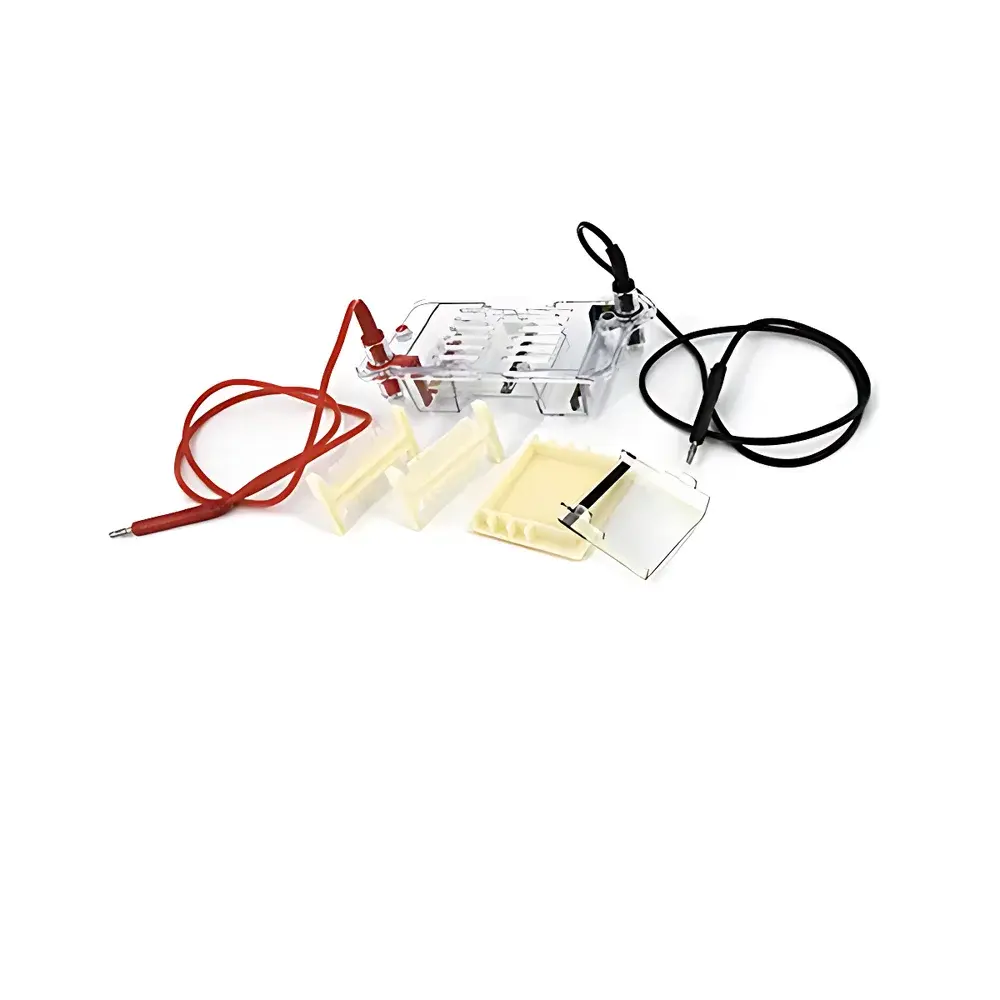 Beijing Liuyi DYCP-31BN Agarose Horizontal Electrophoresis System