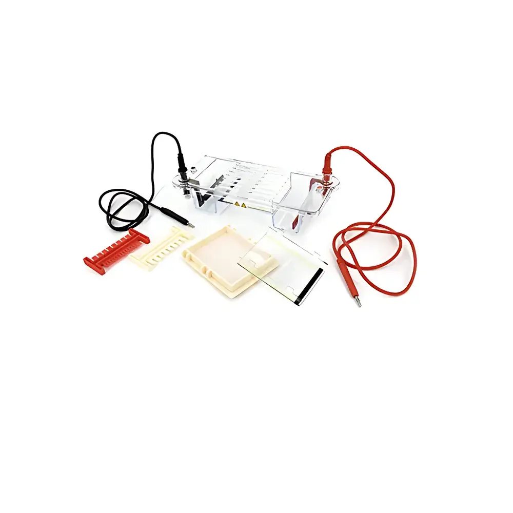 LY DYCP-31CN Agarose Horizontal Electrophoresis System
