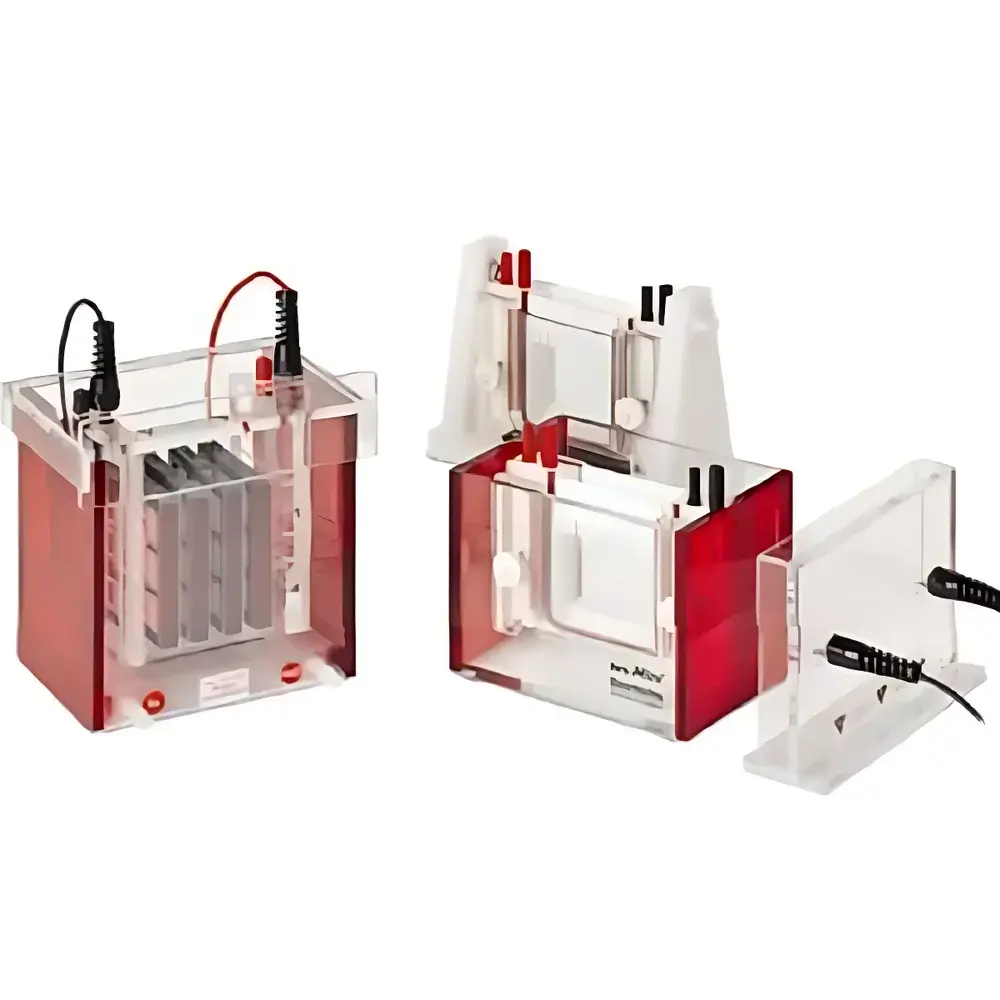 Analytik Jena Eco-Mini and Eco-Maxi Vertical Electrophoresis Systems