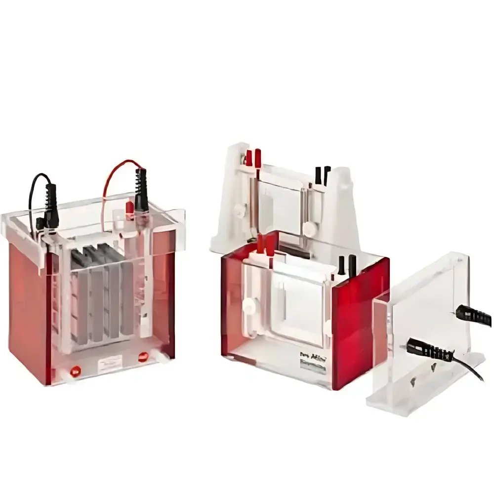 Analytik Jena Eco-Mini and Eco-Maxi Vertical Electrophoresis Systems