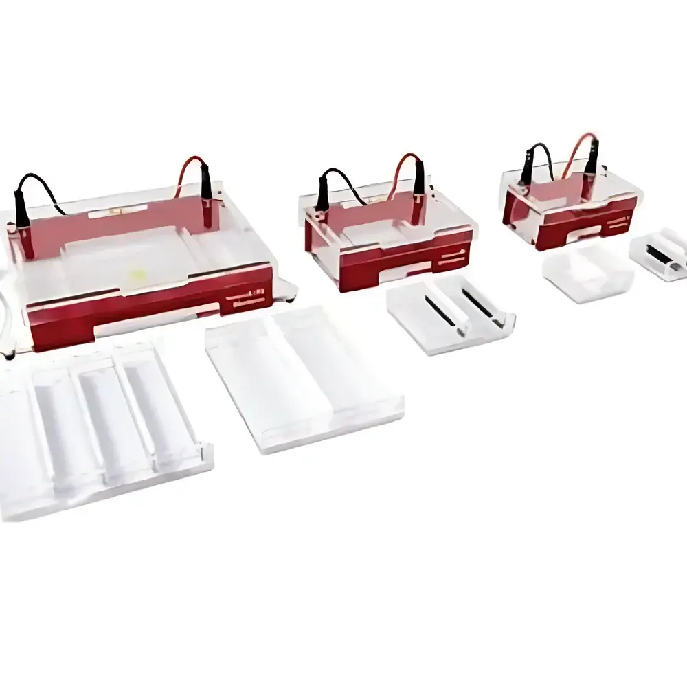 English Product Name