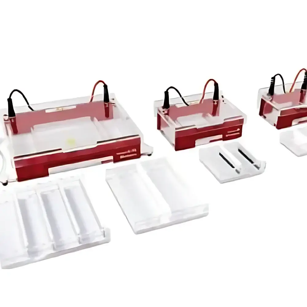 English Product Name