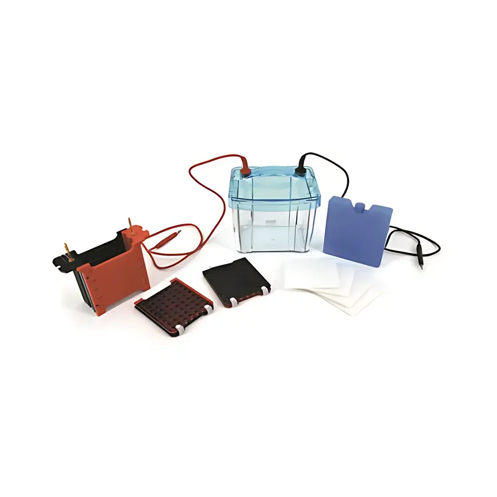 LY DYCZ-40G Semi-Dry Electrophoretic Transfer Apparatus