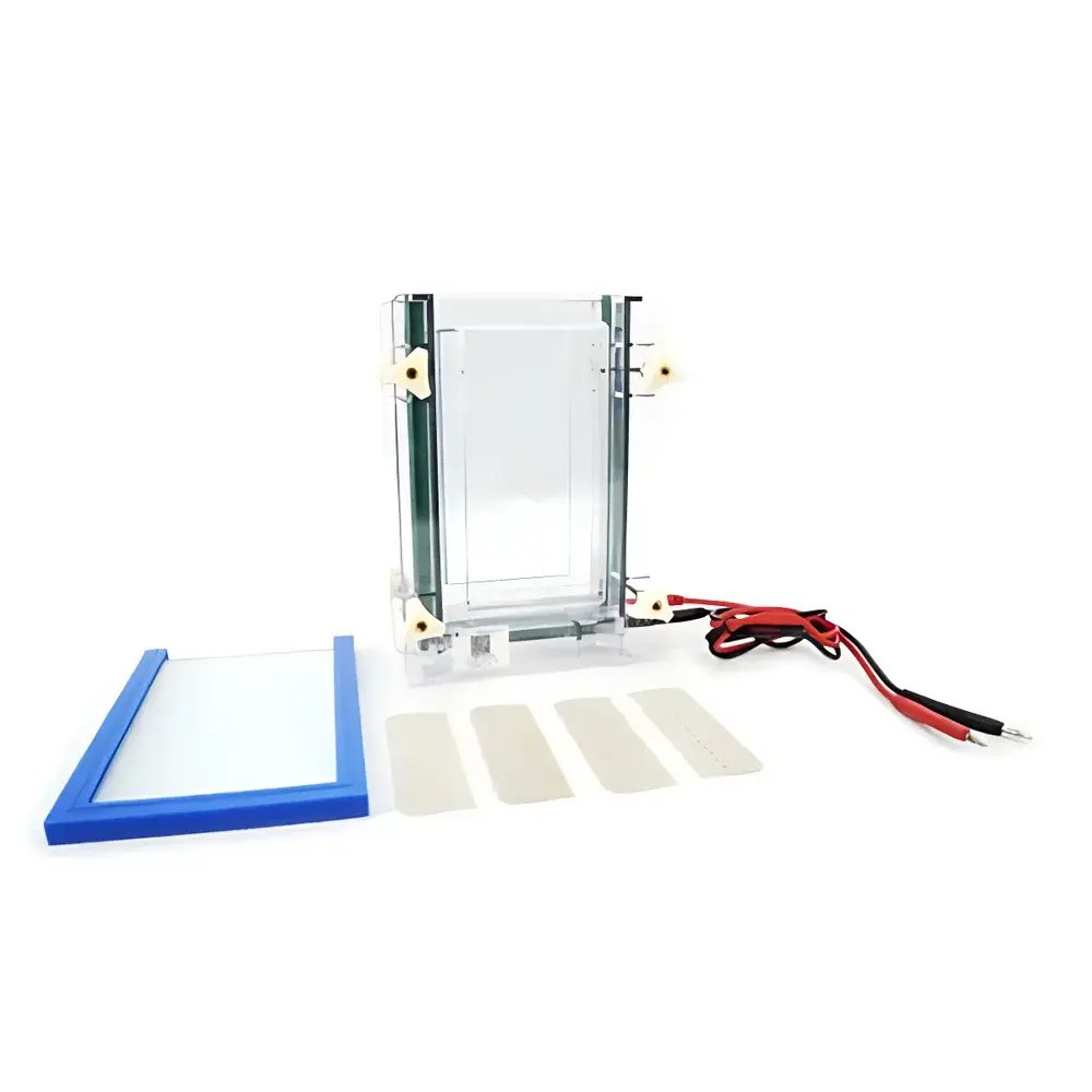LY DYCZ-28B/D Dual-Plate Sandwich-Style Vertical Electrophoresis Apparatus