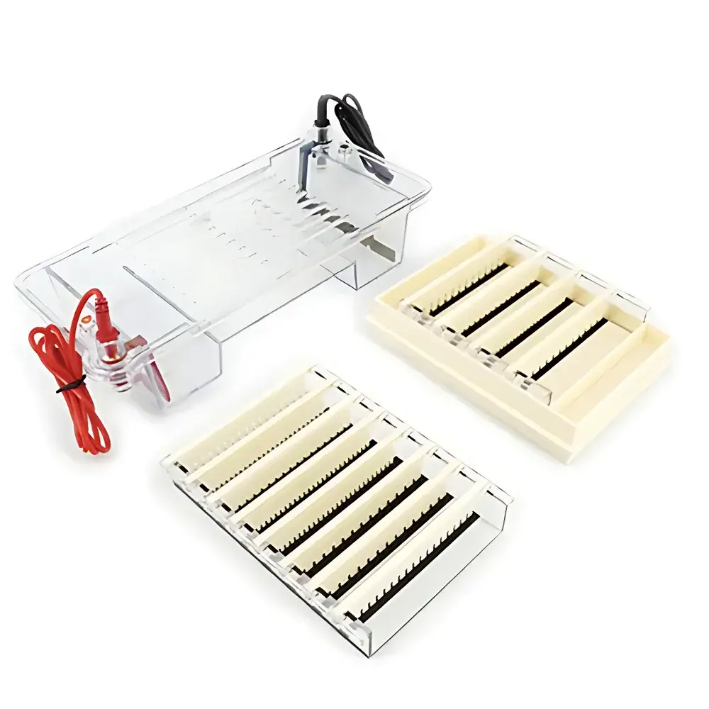 LY DYCP-32B Agarose Horizontal Electrophoresis System (Medium Size)