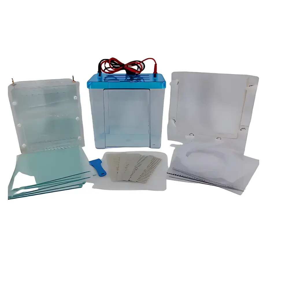 LY DYCZ-24FN Electrophoresis Apparatus (Model 121-2461)