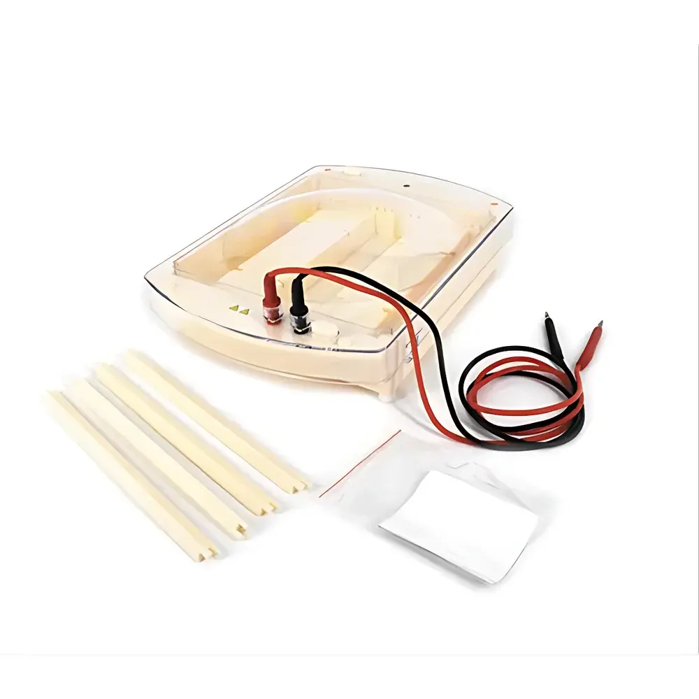 LY DYCP-38C Horizontal Electrophoresis Apparatus