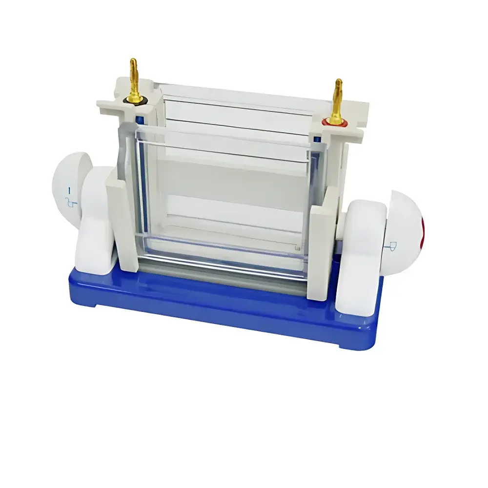 LY DYCZ-24DH Dual-Plate Vertical Electrophoresis Apparatus