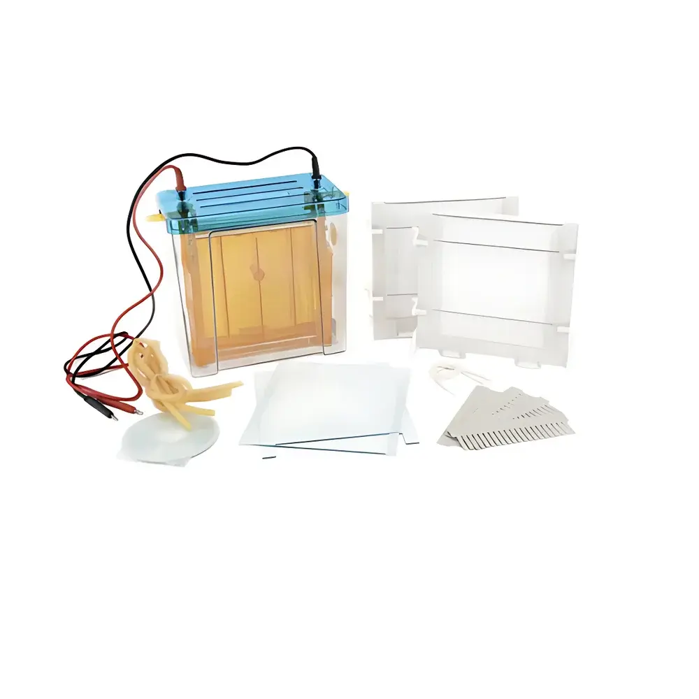 Beijing Liuyi DYCZ-24F Dual Vertical Electrophoresis Apparatus (Large Format)