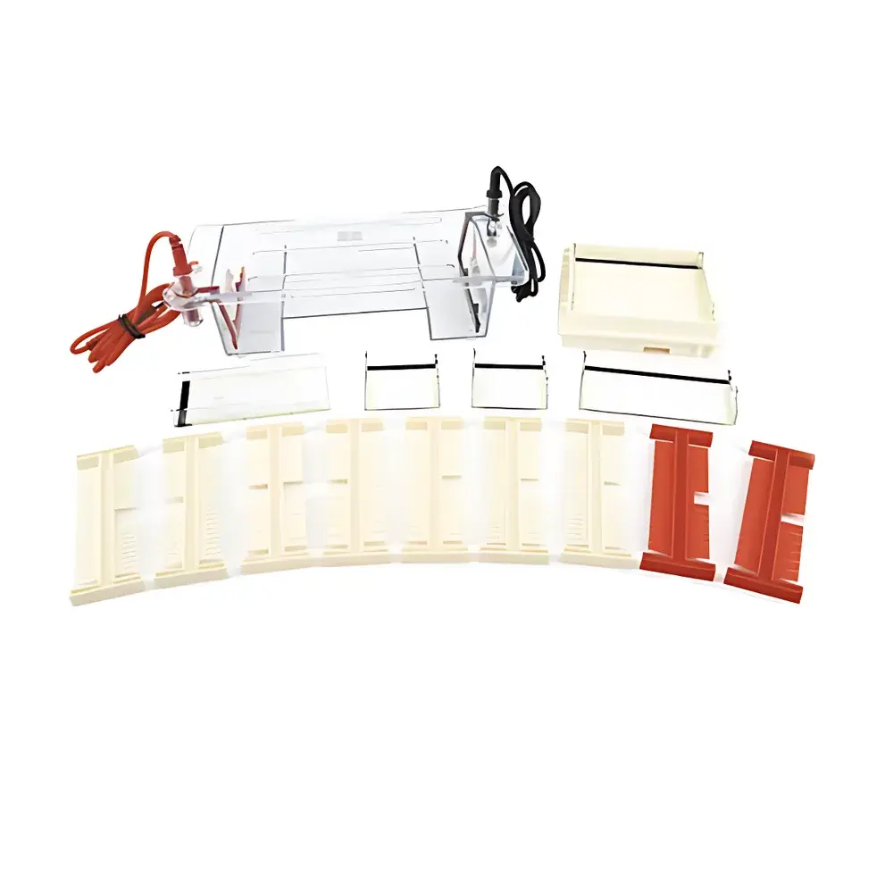 LY DYCP-31DN Agarose Horizontal Electrophoresis System