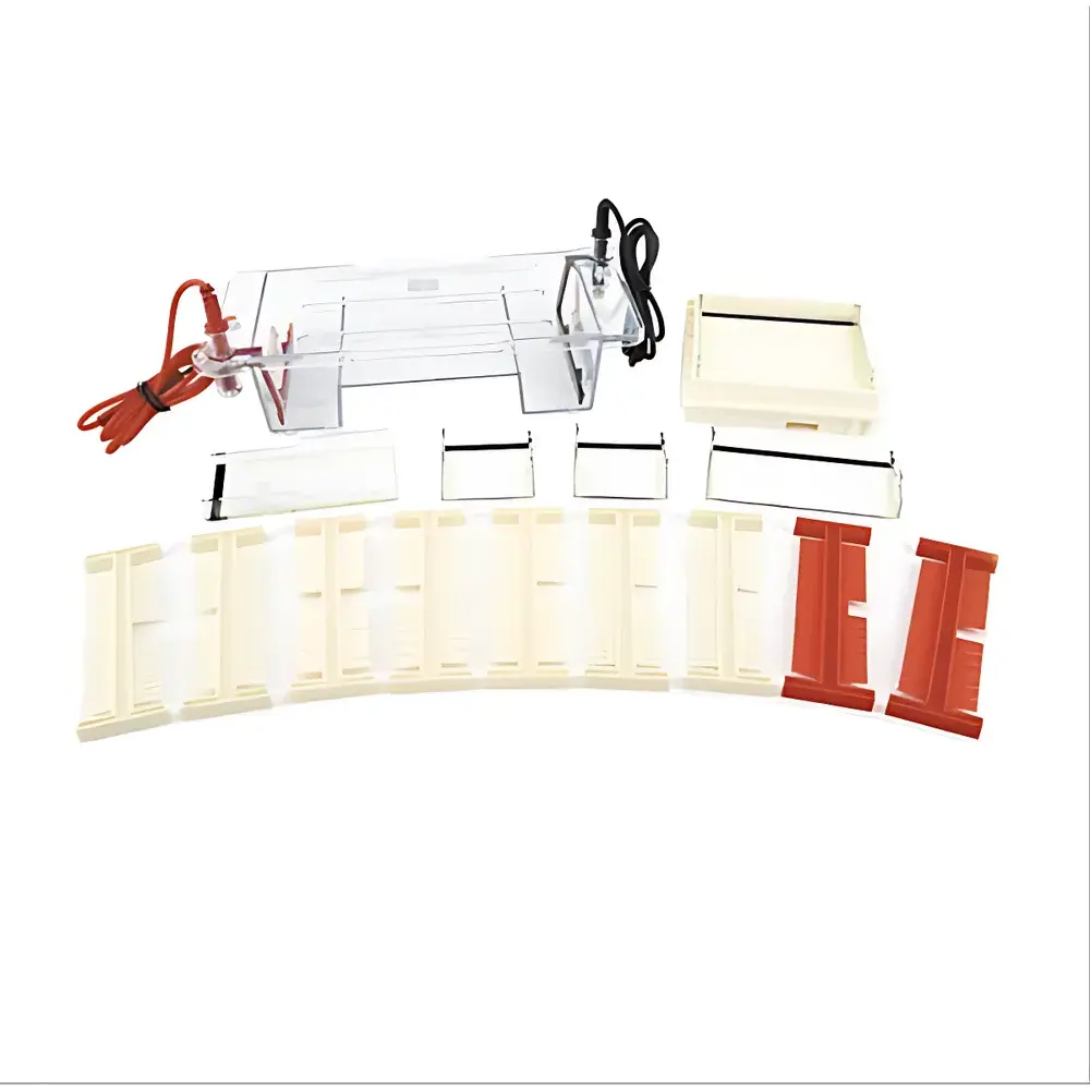 LY DYCP-31DN Agarose Horizontal Electrophoresis System