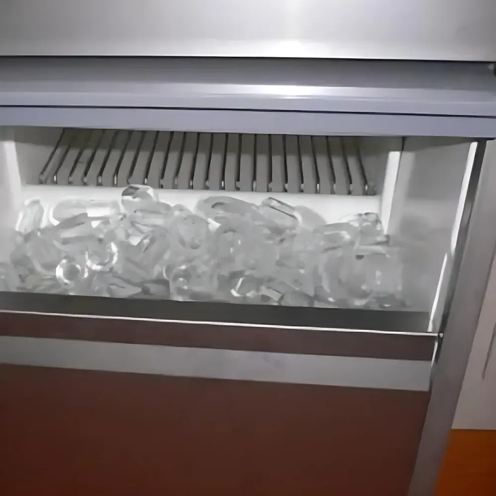 XUEKE IM-50 Flake Ice Machine