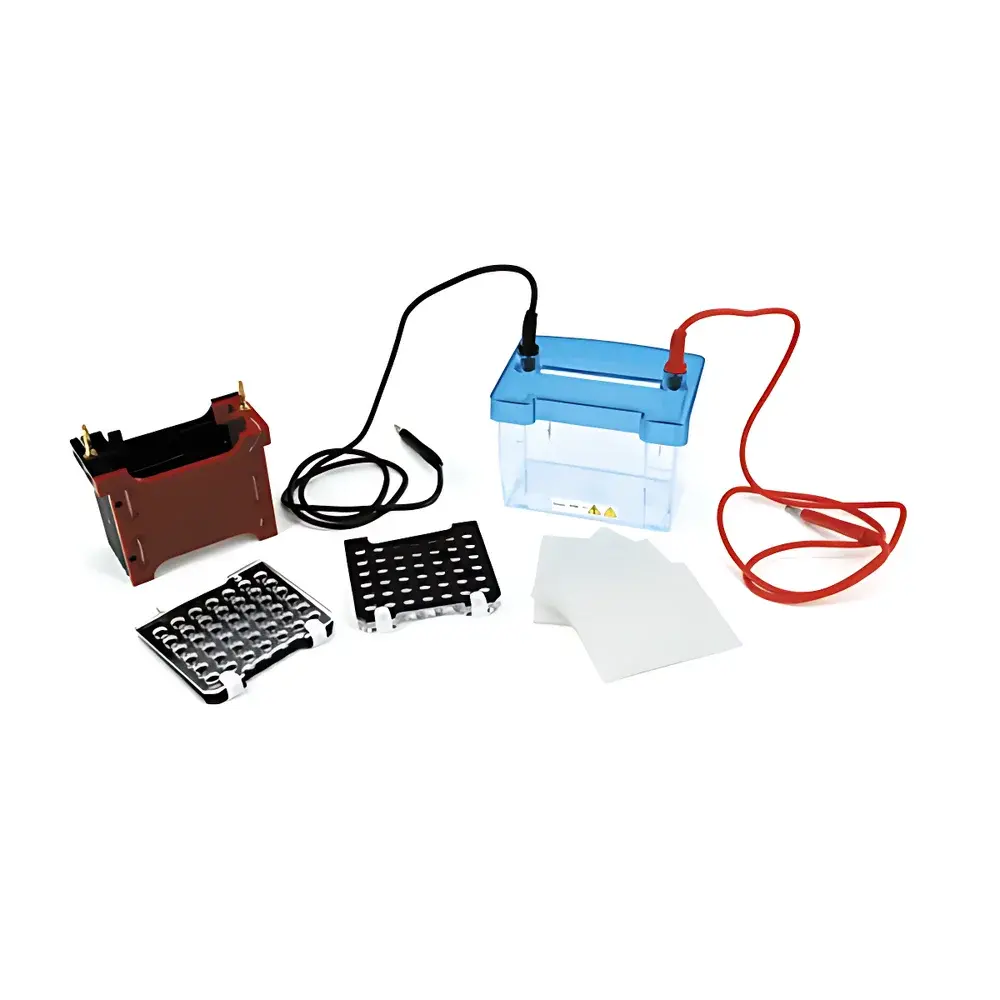 Beijing Liuyi DYCZ-40D Mini Trans-Blot Electrophoresis Apparatus