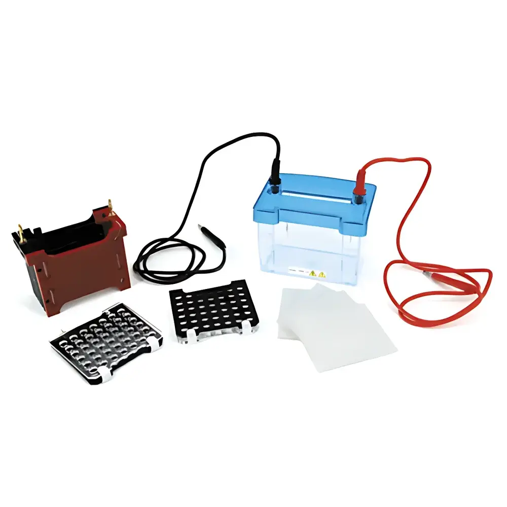 Beijing Liuyi DYCZ-40D Mini Trans-Blot Electrophoresis Apparatus