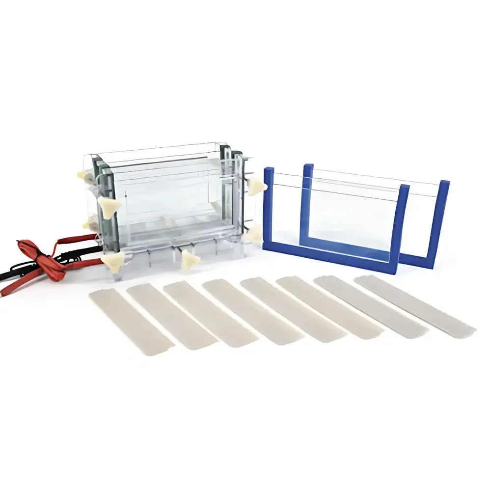 LY DYCZ-30C Dual-Plate Sandwich-Style Vertical Electrophoresis Apparatus