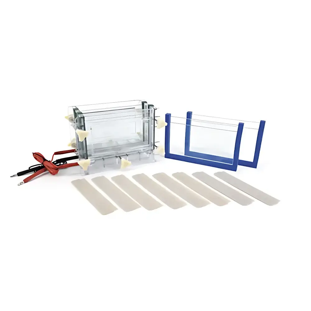 LY DYCZ-30C Dual-Plate Sandwich-Style Vertical Electrophoresis Apparatus