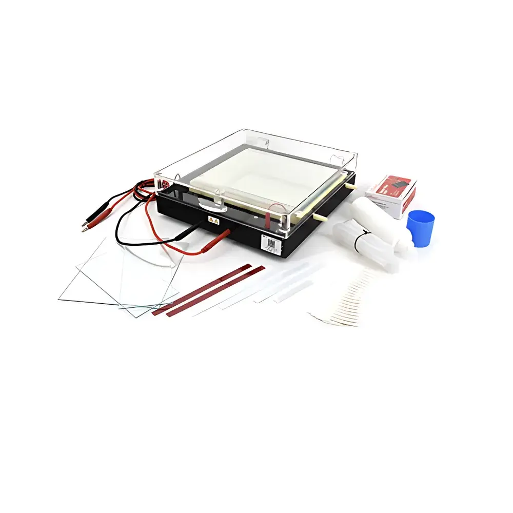 LY DYCP-37B Isoelectric Focusing Electrophoresis Apparatus