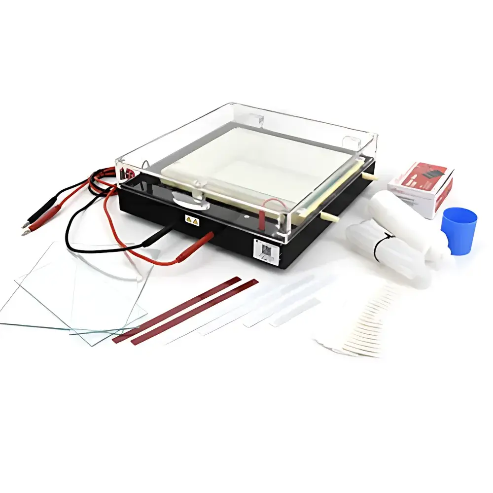 LY DYCP-37B Isoelectric Focusing Electrophoresis Apparatus