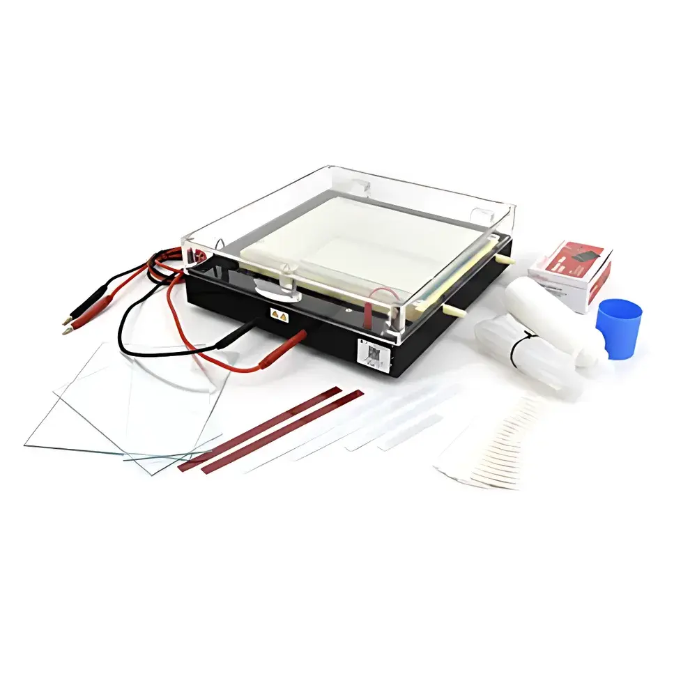LY DYCP-37B Isoelectric Focusing Electrophoresis Apparatus