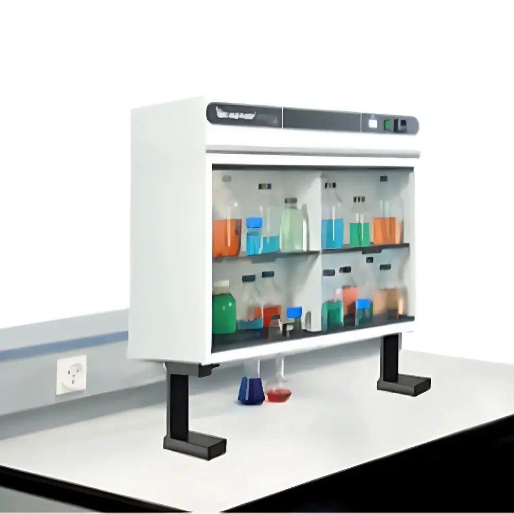 Erlab Ministore 822 B Air-Filtered Mini Chemical Storage Cabinet