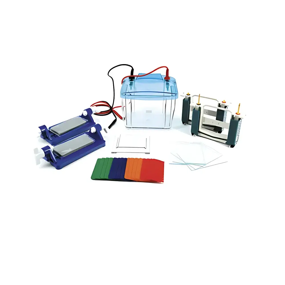 Beijing Liuyi DYCZ-25E P4 Vertical Electrophoresis Apparatus (Model 121-2550)