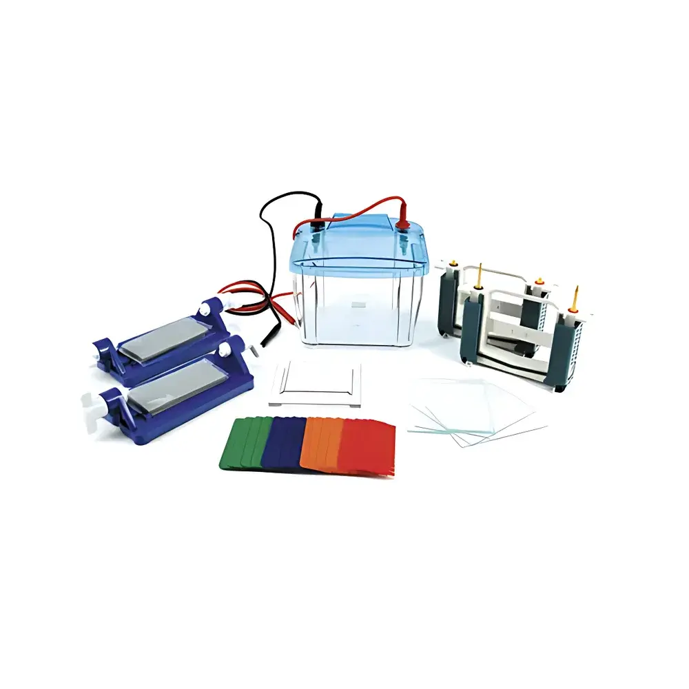 Beijing Liuyi DYCZ-25E P4 Vertical Electrophoresis Apparatus (Model 121-2550)