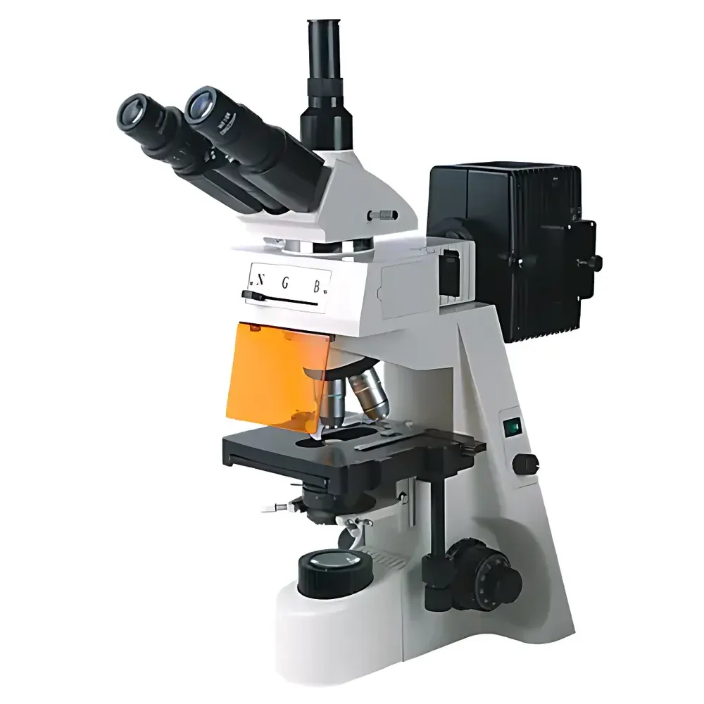 BM-19AY Fluorescence Microscope by BM (Shanghai)