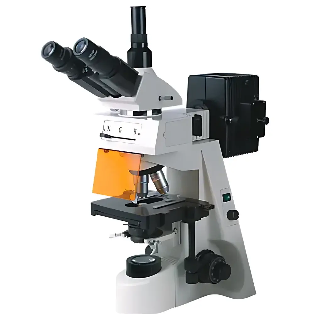 BM-19AY Fluorescence Microscope by BM (Shanghai)