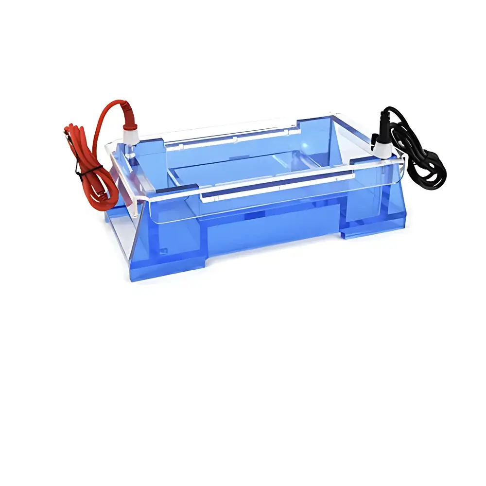 Beijing Liuyi DYCP-32A Agarose Horizontal Electrophoresis System