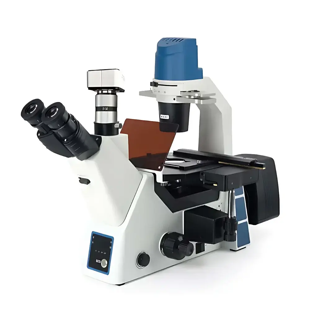 BM-Beam BM-40YD Inverted Fluorescence Microscope