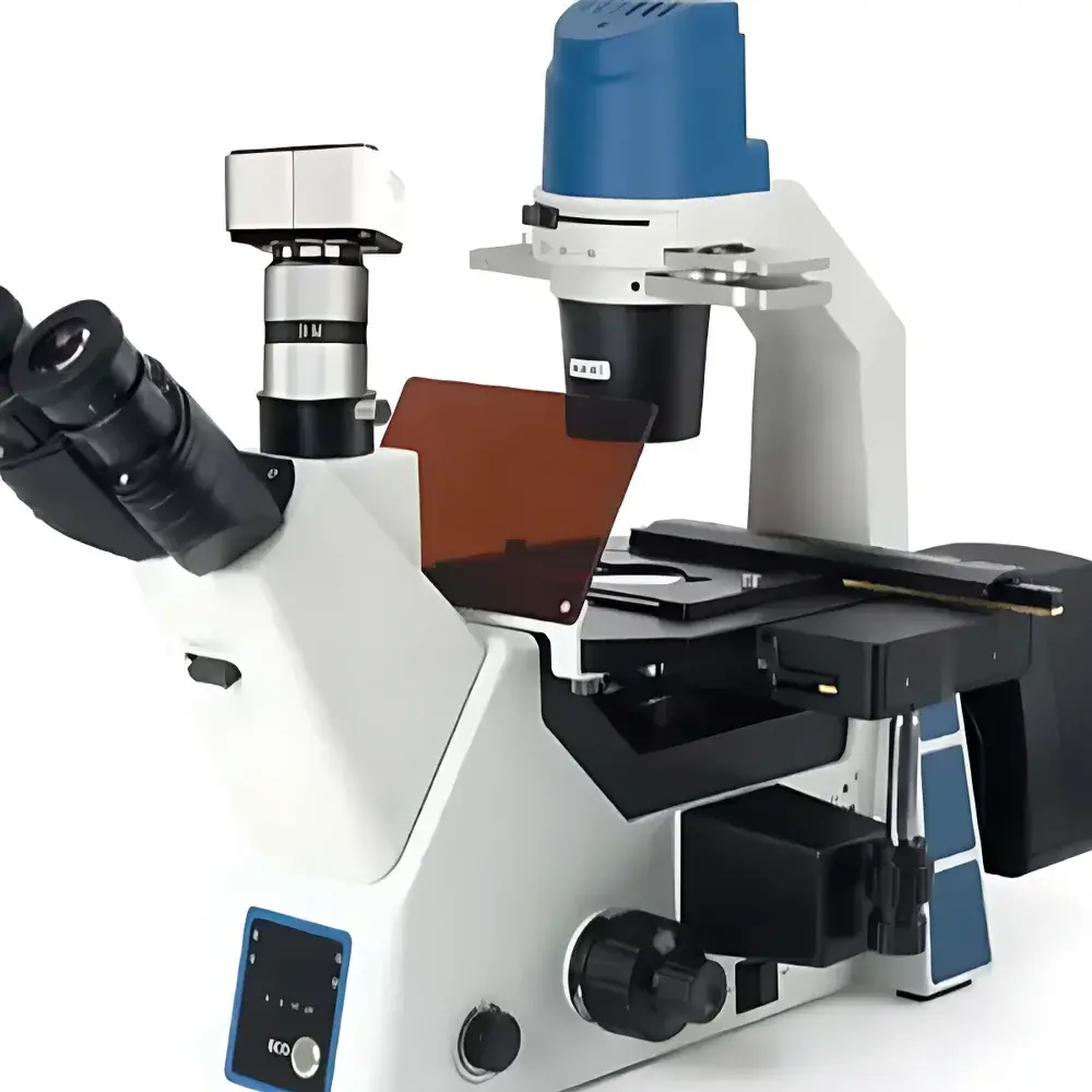 BM-Beam BM-40YD Inverted Fluorescence Microscope