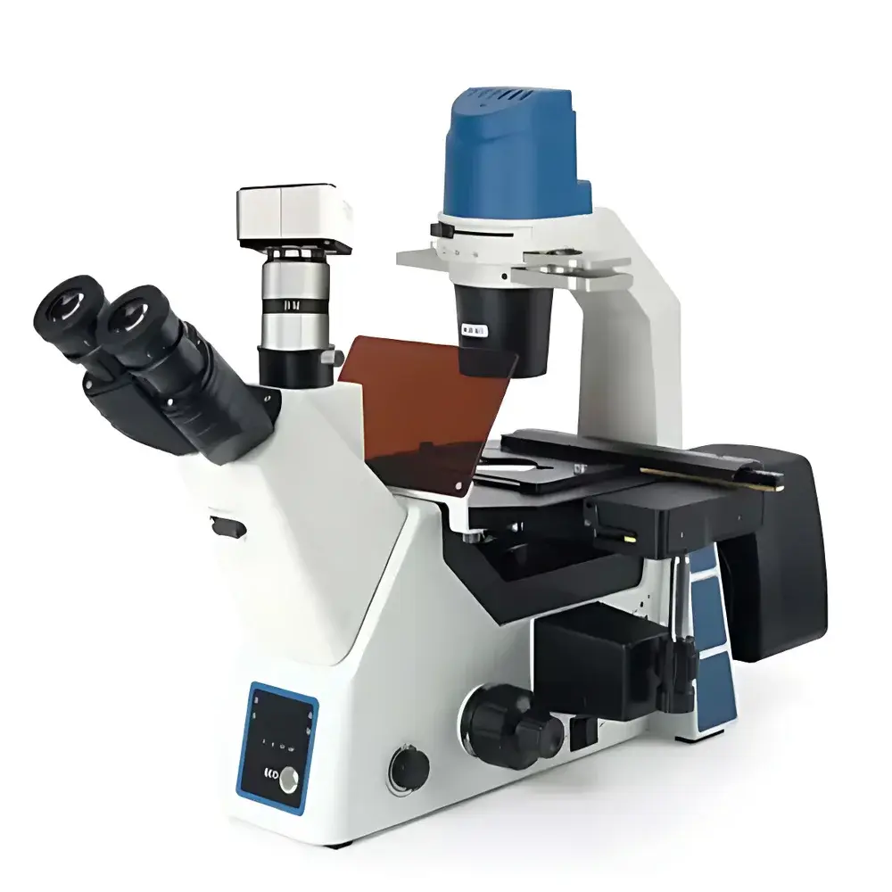 BM-Beam BM-40YD Inverted Fluorescence Microscope
