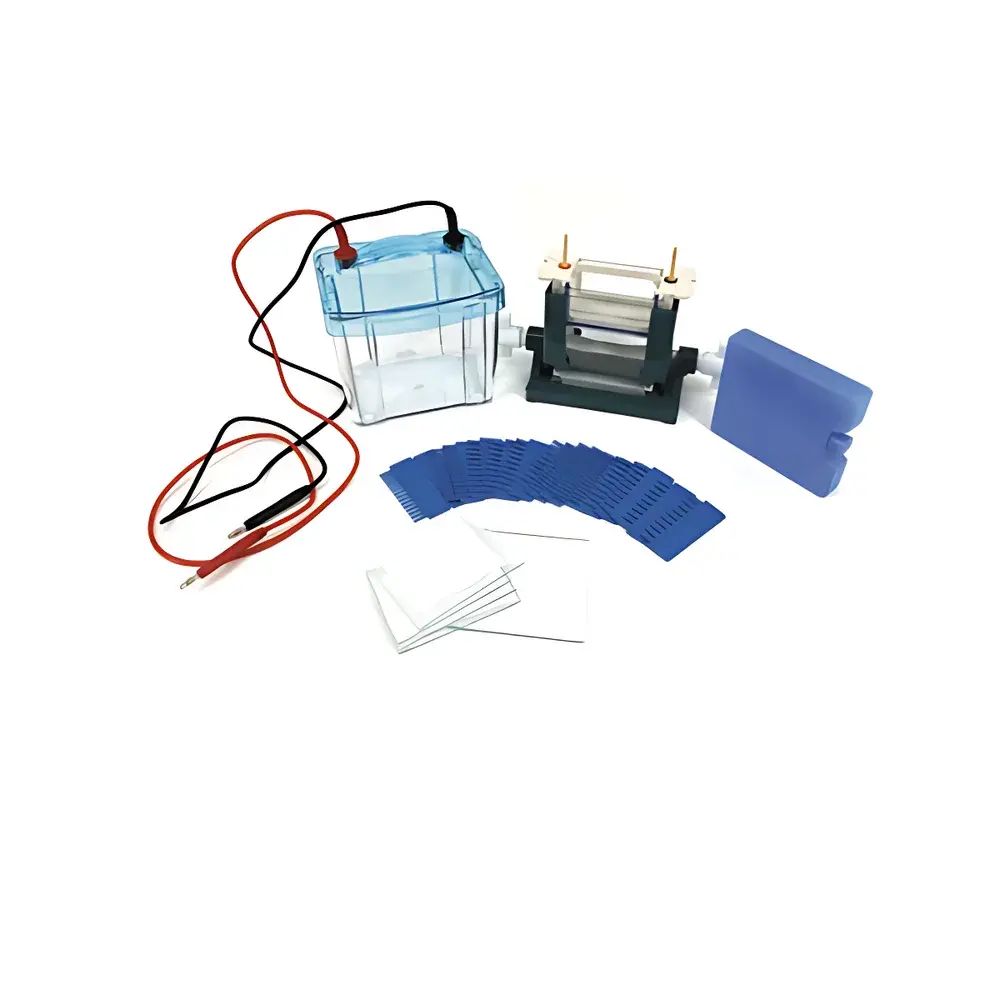 LY DYCZ-25D Dual Vertical Electrophoresis Apparatus (Model 121-2540)