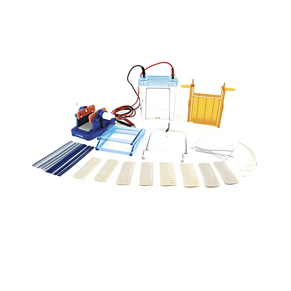 LY DYCZ-24EN Dual Vertical Electrophoresis Apparatus (Medium Size)