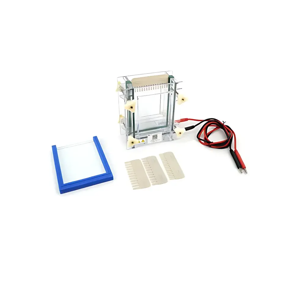 LY DYCZ-28A/C Single-Plate Sandwich-Style Vertical Electrophoresis Apparatus