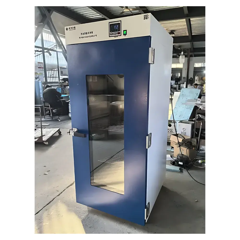 CZGY GY-DP500L Electric Constant Temperature Incubator