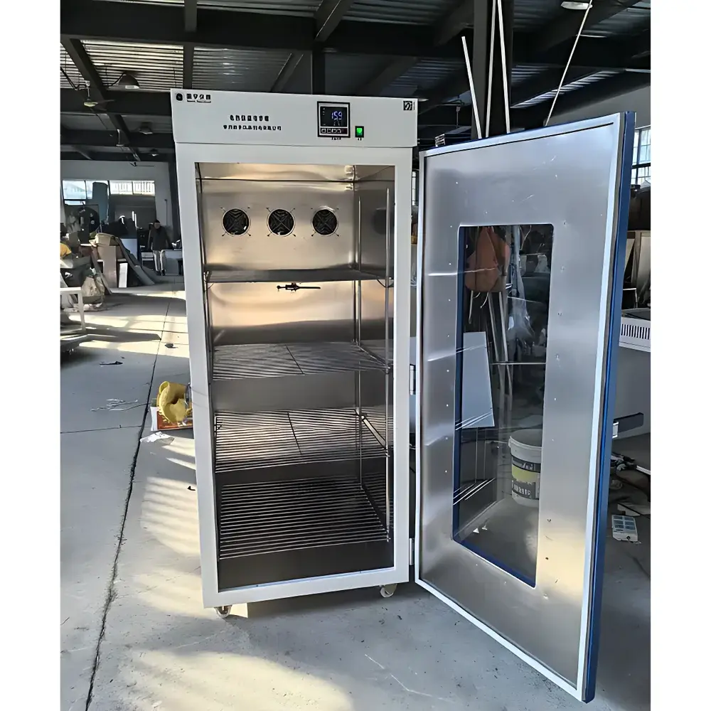 CZGY GY-DP500L Electric Constant Temperature Incubator