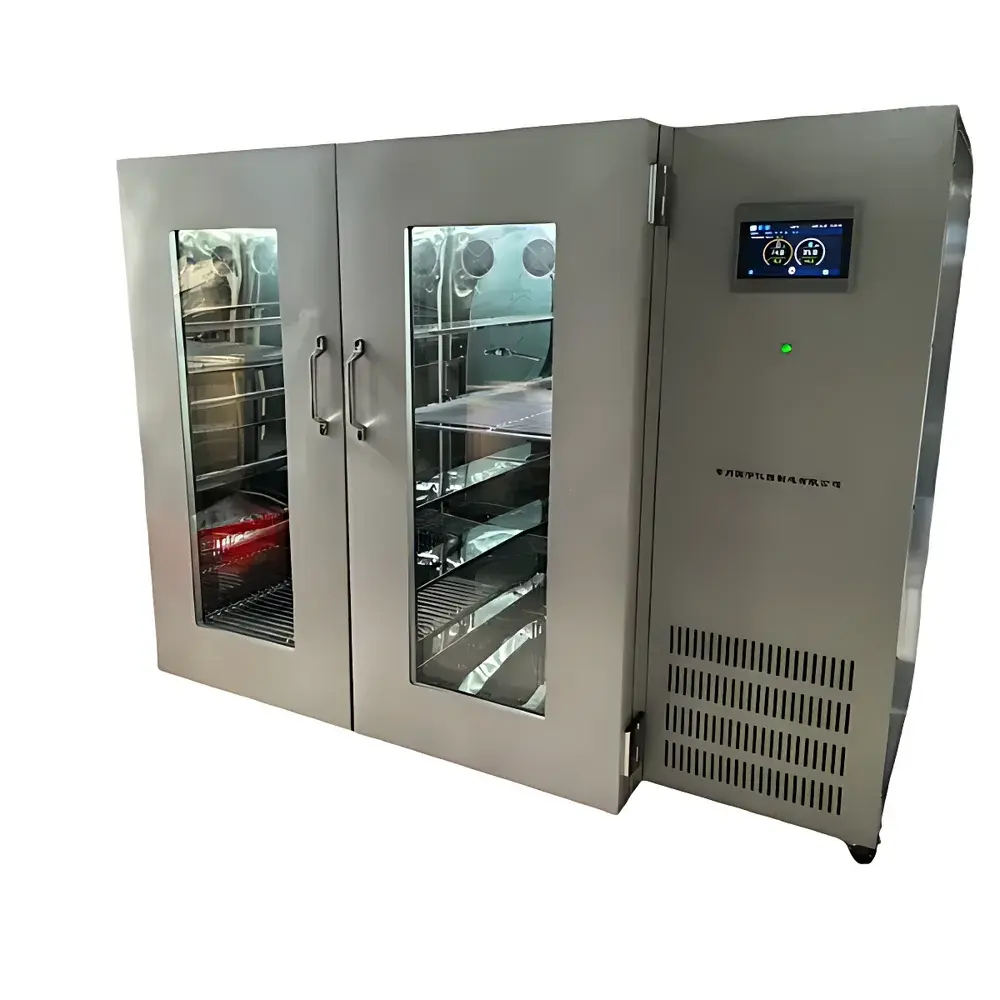 CZGY GY-1000YPZ Drug Stability Testing Chamber